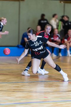 Bild 148 - wAJ SV Henstedt Ulzburg - SC Alstertal Langenhorn : Ergebnis: 30:41